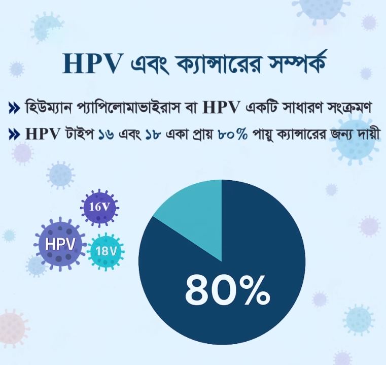 HPV টাইপ ১৬ এবং ১৮ একা প্রায় ৮০% পায়ু ক্যান্সারের জন্য দায়ী।