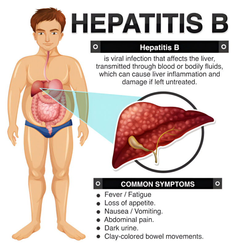 Hepatitis b vaccine price in bangladesh